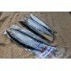 Pacific Saury/Bluey (in store only)