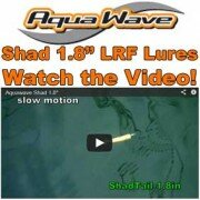 AquaWave Video 1.8" Shad